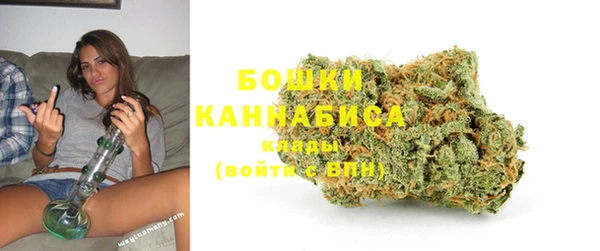 стафф Богданович