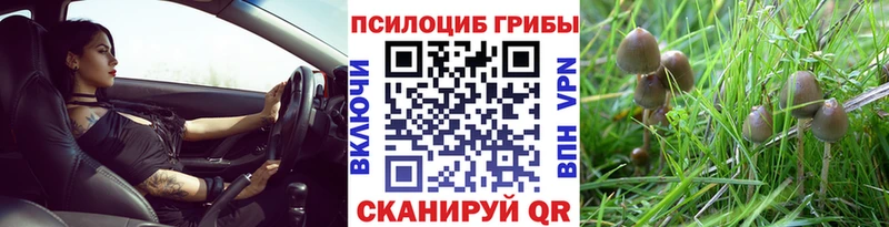Галлюциногенные грибы Cubensis  продажа наркотиков  Верхний Тагил 